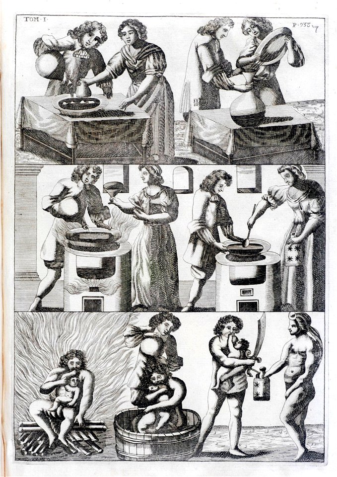 Bibliotheca chemica curiosa RGNb1035413x.05.vol 1.fig 7