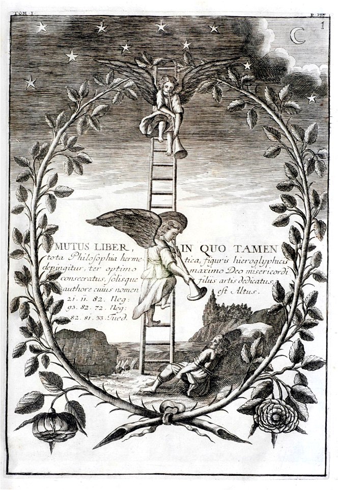 Bibliotheca chemica curiosa RGNb1035413x.03.vol 1.fig 1