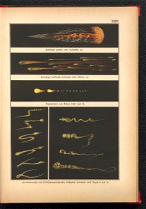 Bilder-Atlas der Sternenwelt - eine Astronomie fur jedermann 1888 (128495456)
