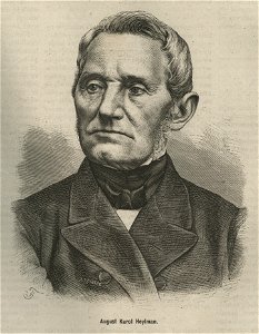 August Karol Heylman (58615)
