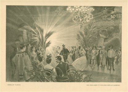 Bal malarzy w Dolinie Szwajcarskiej (80454)