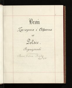 Bron zaczepna i odporna w Polsce. T. 3, Rynsztunki, bron palna, rzedy 1875-1900 (96018908)