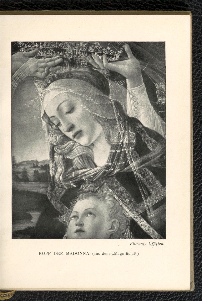Botticelli 1903 (128419695)