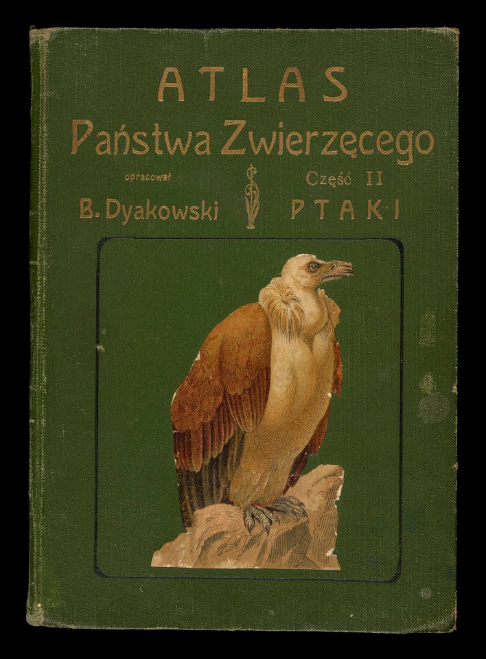 Atlas panstwa zwierzecego. Cz. 2, Ptaki 1905 (80636126)