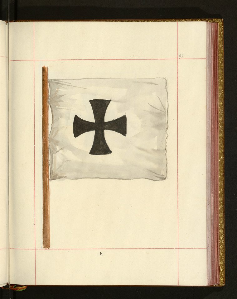 Bron zaczepna i odporna w Polsce. T. 4, Pasy lite, ozdoby, choragwie i proporce 1875-1900 (96513213)