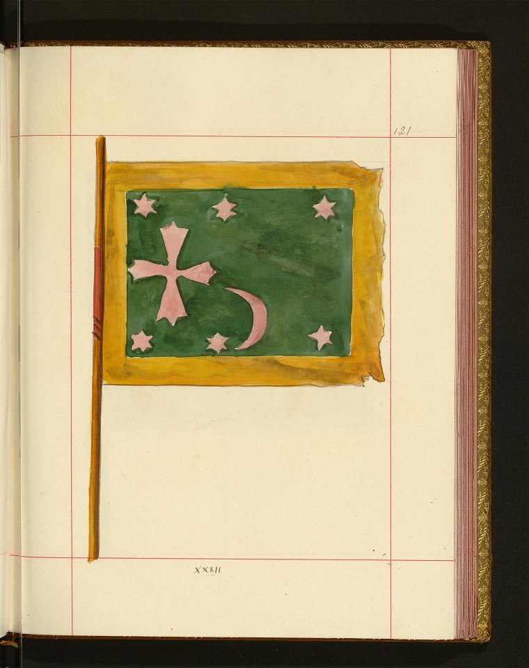 Bron zaczepna i odporna w Polsce. T. 4, Pasy lite, ozdoby, choragwie i proporce 1875-1900 (96514424)
