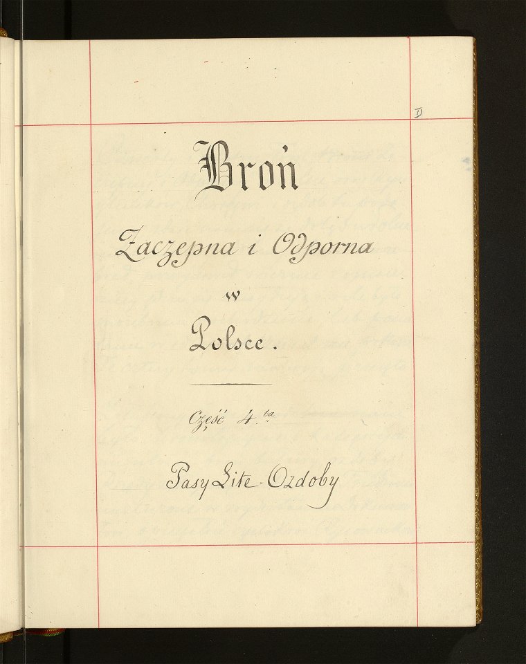 Bron zaczepna i odporna w Polsce. T. 4, Pasy lite, ozdoby, choragwie i proporce 1875-1900 (96509153)