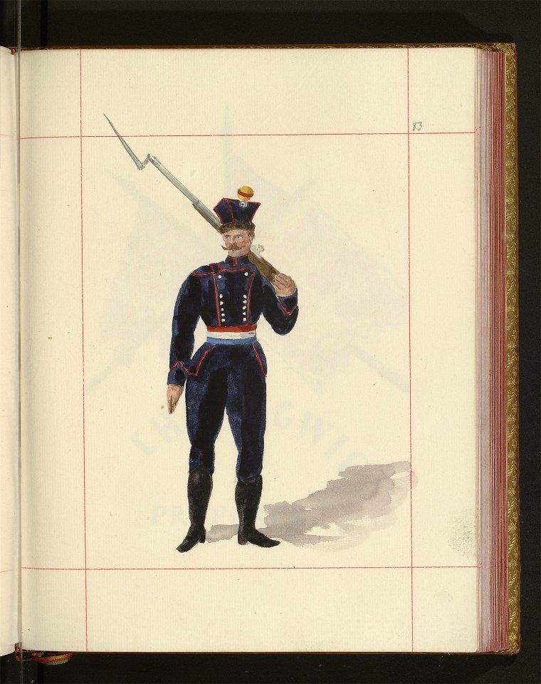 Bron zaczepna i odporna w Polsce. T. 4, Pasy lite, ozdoby, choragwie i proporce 1875-1900 (96512425)