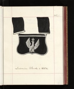 Bron zaczepna i odporna w Polsce. T. 3, Rynsztunki, bron palna, rzedy 1875-1900 (96019203)