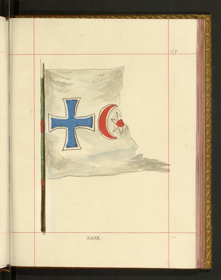 Bron zaczepna i odporna w Polsce. T. 4, Pasy lite, ozdoby, choragwie i proporce 1875-1900 (96514803)