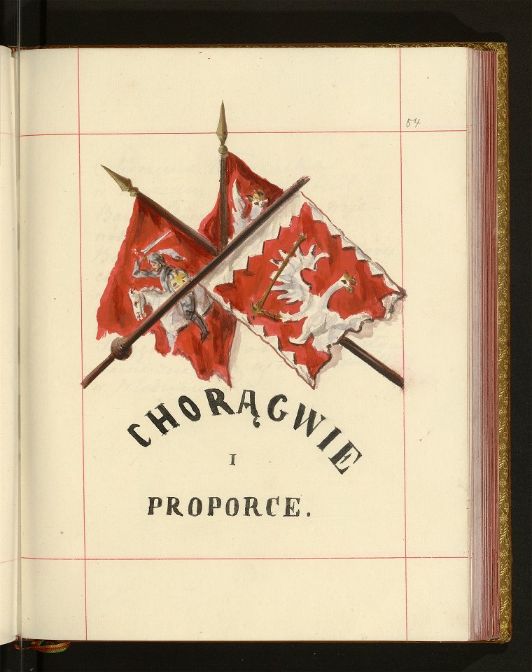 Bron zaczepna i odporna w Polsce. T. 4, Pasy lite, ozdoby, choragwie i proporce 1875-1900 (96512473)