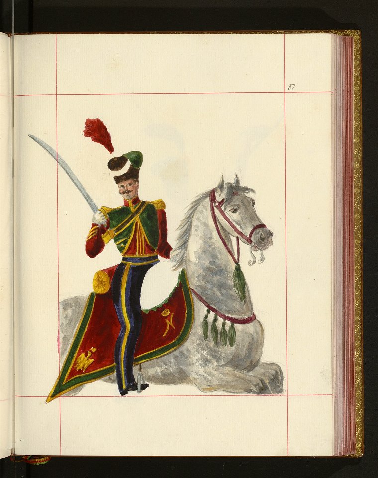 Bron zaczepna i odporna w Polsce. T. 4, Pasy lite, ozdoby, choragwie i proporce 1875-1900 (96512339)