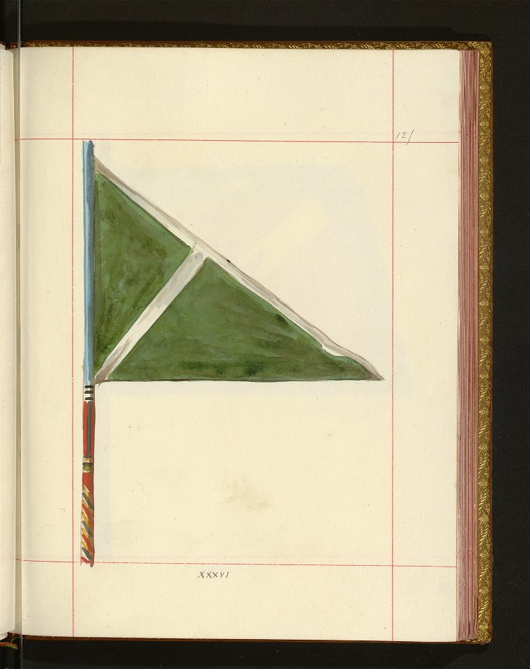 Bron zaczepna i odporna w Polsce. T. 4, Pasy lite, ozdoby, choragwie i proporce 1875-1900 (96514654)