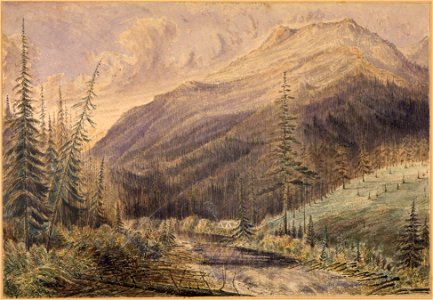 Camp on Kattanoke Creek a branch of Flathead River-trail from Kootenay E. to Kishenehn - NARA - 305527