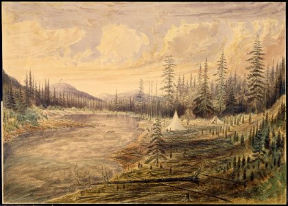 Camp on Flathead River (49th parallel) looking up (W. 25. N.) - NARA - 305529