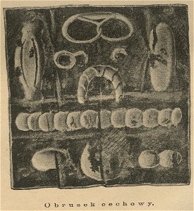 Cech piekarski - Obrusek cechowy (59963)