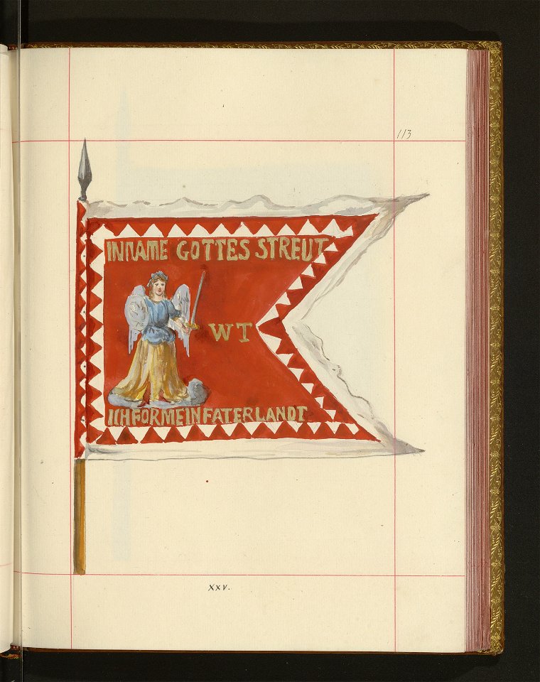 Bron zaczepna i odporna w Polsce. T. 4, Pasy lite, ozdoby, choragwie i proporce 1875-1900 (96514158)
