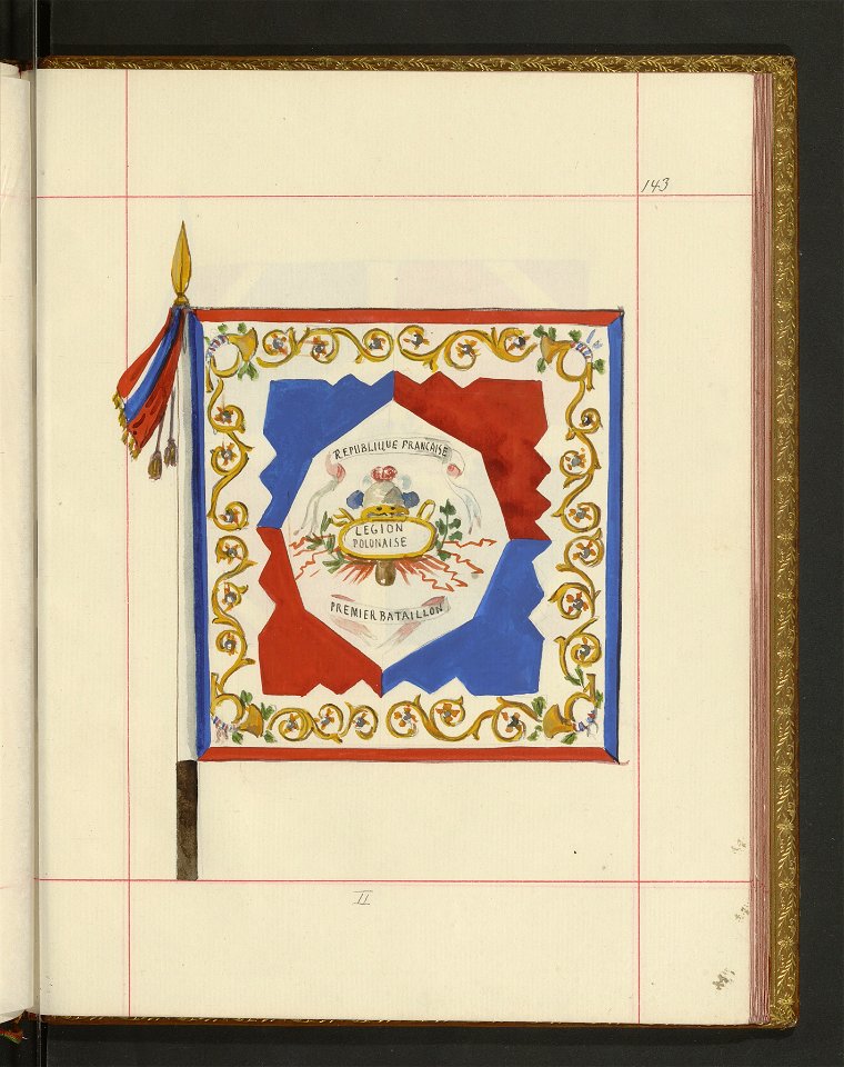 Bron zaczepna i odporna w Polsce. T. 4, Pasy lite, ozdoby, choragwie i proporce 1875-1900 (96515216)