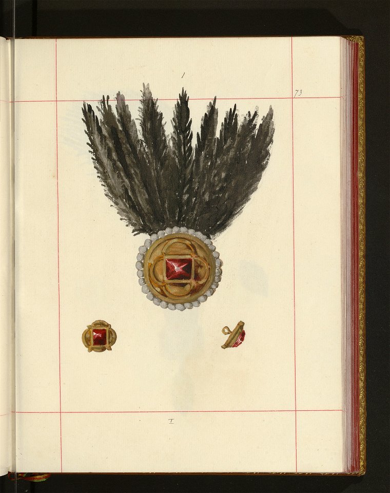 Bron zaczepna i odporna w Polsce. T. 4, Pasy lite, ozdoby, choragwie i proporce 1875-1900 (96511980)