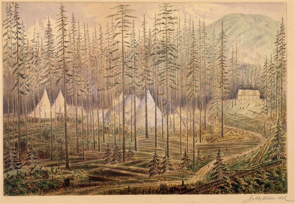 Camp Mooyie (1 1-4 miles N. of 49th parallel). Peak bears N. 20 W - NARA - 305518