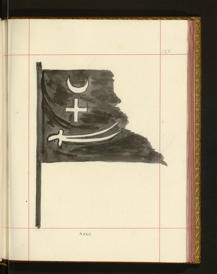 Bron zaczepna i odporna w Polsce. T. 4, Pasy lite, ozdoby, choragwie i proporce 1875-1900 (96514618)
