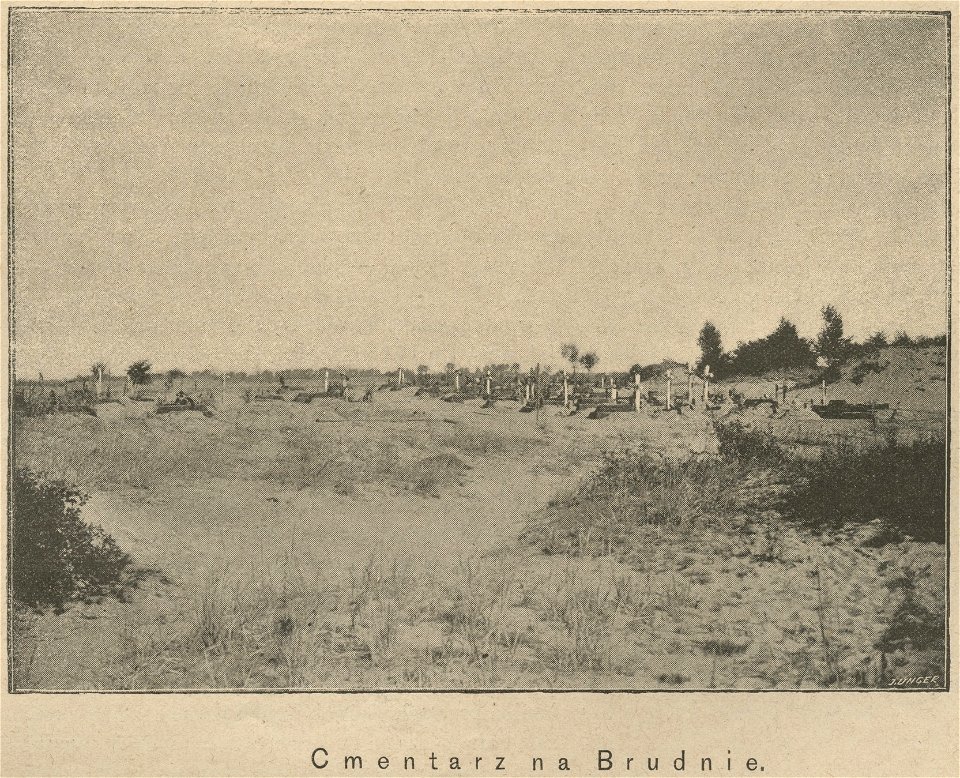 Cmentarz na Bródnie (60816)