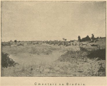 Cmentarz na Bródnie (60816)