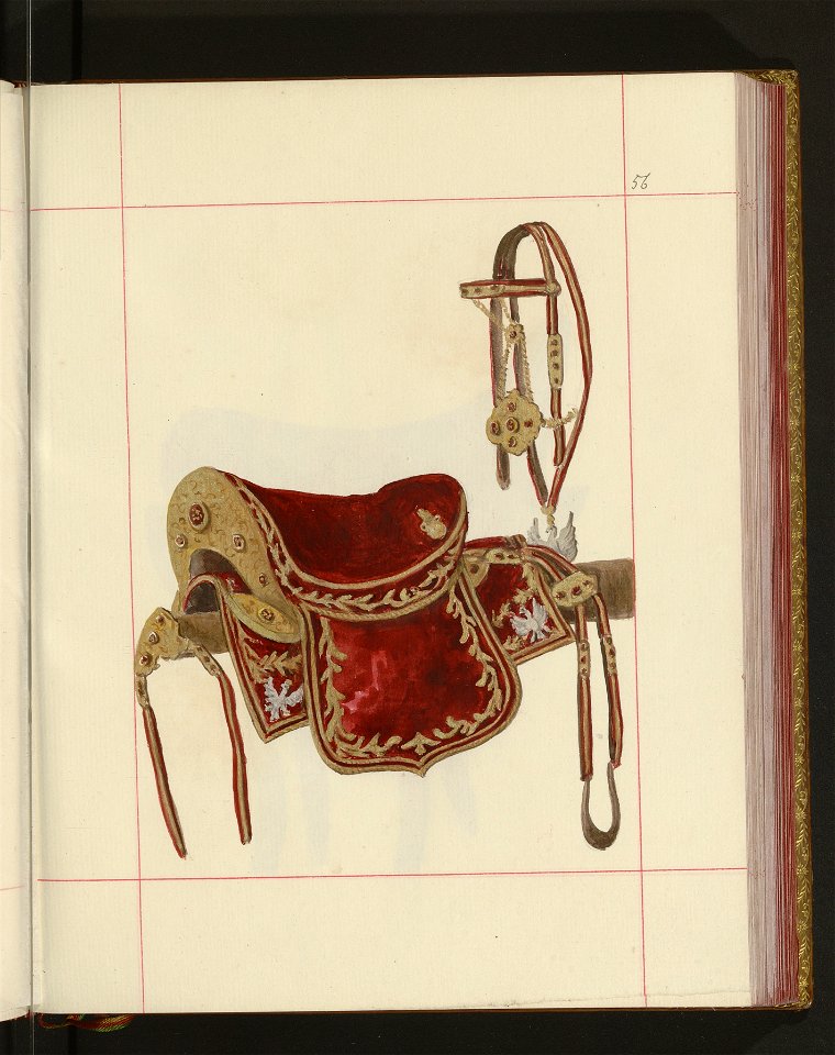 Bron zaczepna i odporna w Polsce. T. 4, Pasy lite, ozdoby, choragwie i proporce 1875-1900 (96511292)