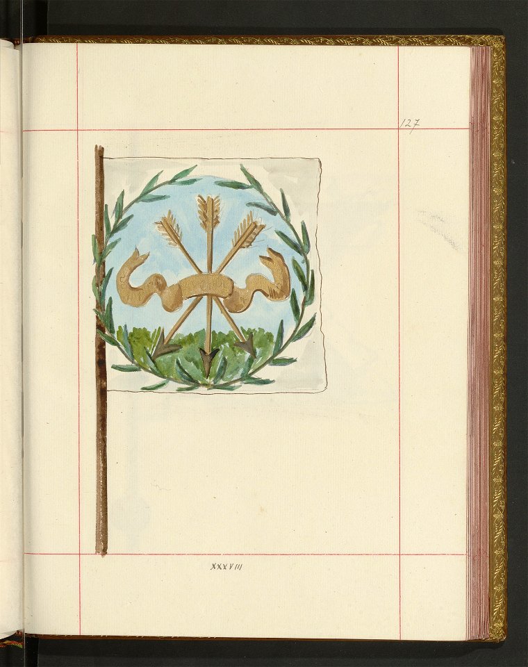 Bron zaczepna i odporna w Polsce. T. 4, Pasy lite, ozdoby, choragwie i proporce 1875-1900 (96514729)