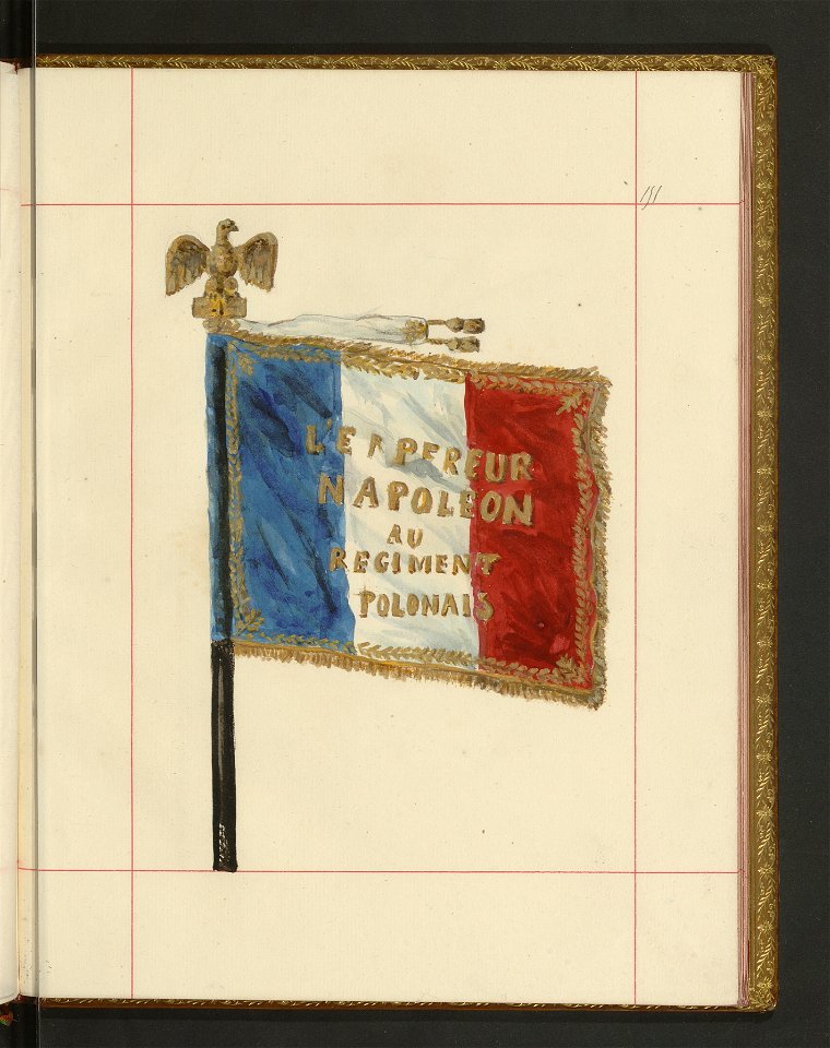 Bron zaczepna i odporna w Polsce. T. 4, Pasy lite, ozdoby, choragwie i proporce 1875-1900 (96515430)