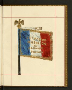Bron zaczepna i odporna w Polsce. T. 4, Pasy lite, ozdoby, choragwie i proporce 1875-1900 (96515430)