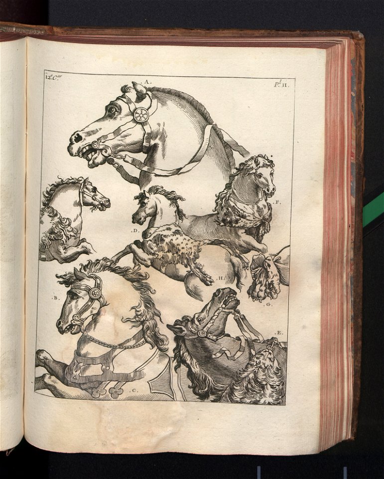 Costume des anciens peuples. T. 1 1772 (790770)
