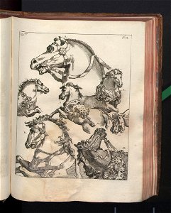 Costume des anciens peuples. T. 1 1772 (790770)