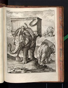 Costume des anciens peuples. T. 2 1774 (791456)