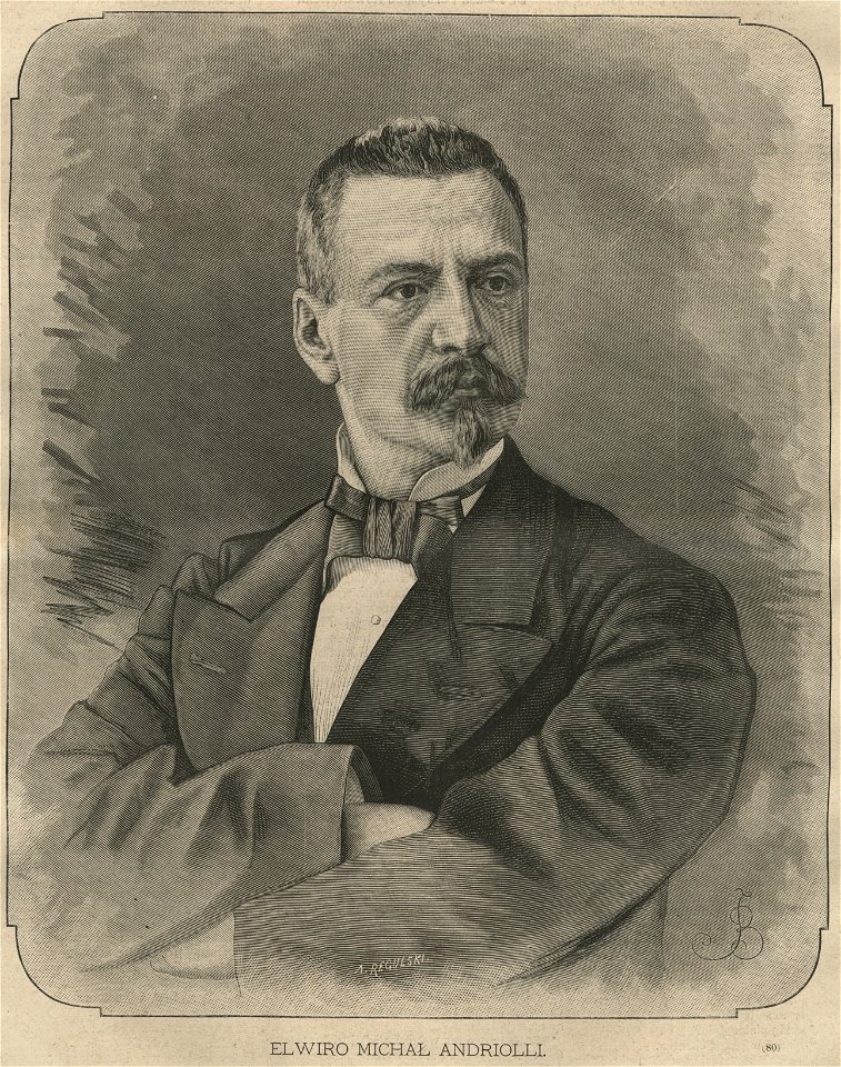Elwiro Michał Andriolli (58955)