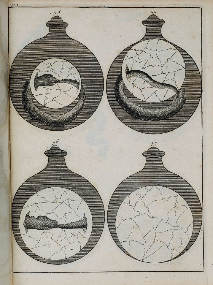 Elementa chemiae 1718 Barchusen plate 512.54-57 alchemy