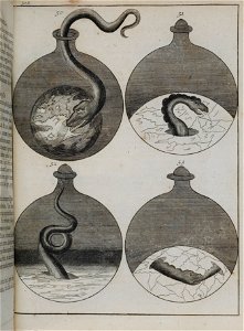 Elementa chemiae 1718 Barchusen plate 512.50-53 alchemy. Free illustration for personal and commercial use.
