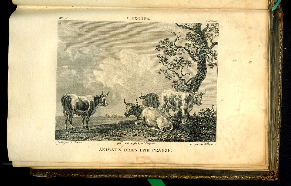Galerie du Musee Napoleon. T. 2 1804 (30876991)