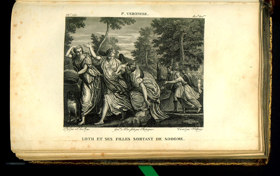 Galerie du Musee Napoleon. T. 10 1815 (31222854)