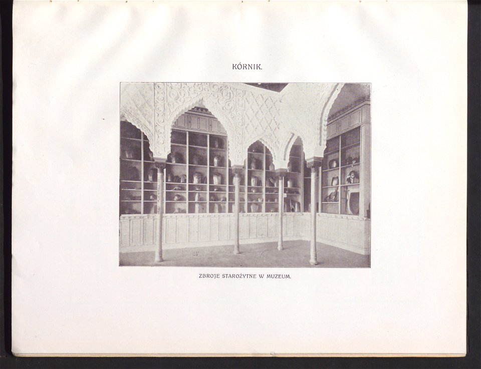 Dwory i palace wielkopolskie 1913 (103066935)