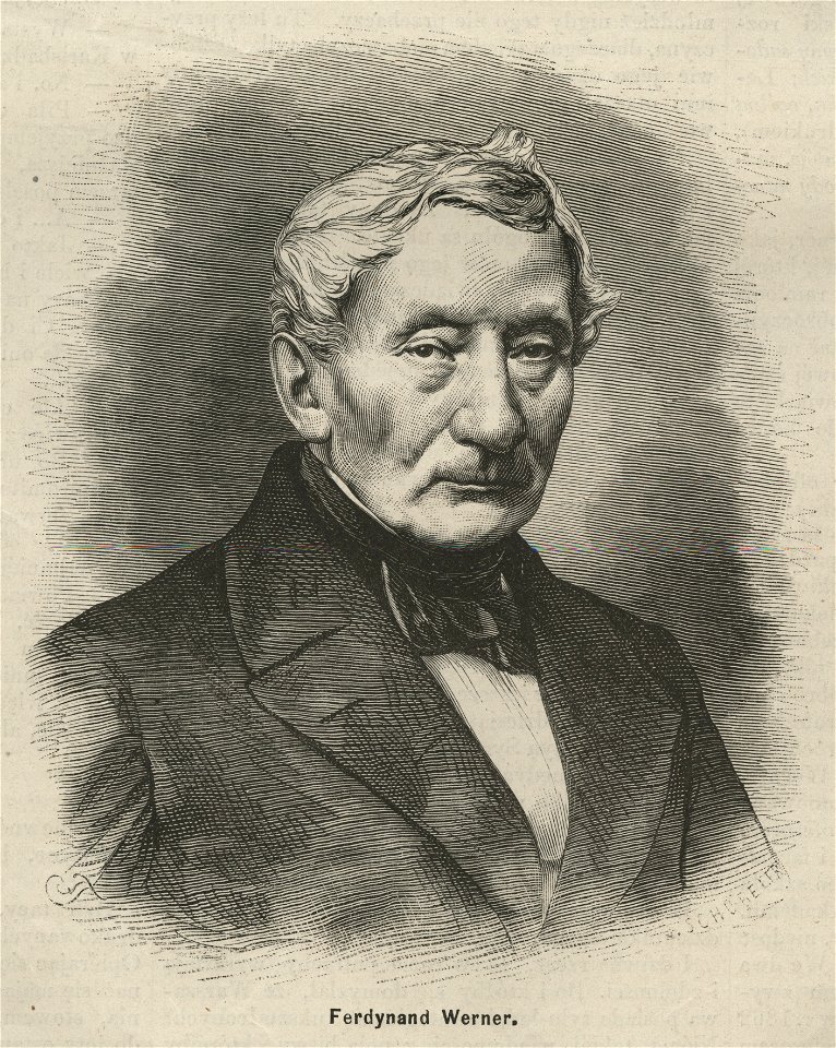 Ferdynand Werner (58264)