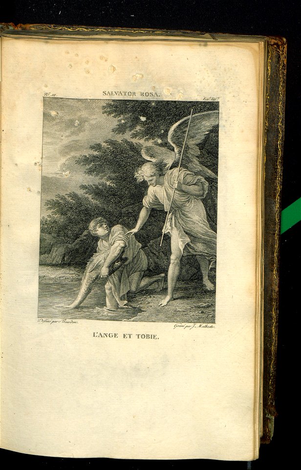 Galerie du Musee Napoleon. T. 2 1804 (30877180)