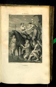 Galerie du Musee Napoleon. T. 2 1804 (30877220)