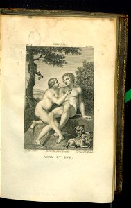 Galerie du Musee Napoleon. T. 2 1804 (30877112)