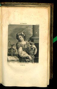Galerie du Musee Napoleon. T. 2 1804 (30877018)