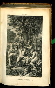 Galerie du Musee Napoleon. T. 9 1813 (31138063)
