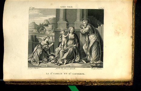 Galerie du Musee Napoleon. T. 7 (31007086)