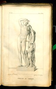 Galerie du Musee Napoleon. T. 8 1812 (31079211)