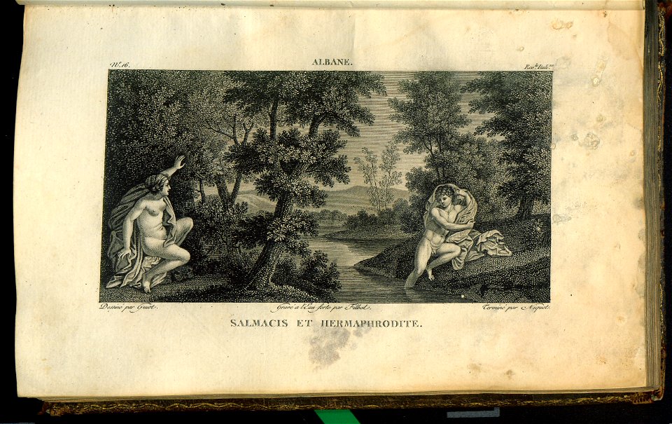 Galerie du Musee Napoleon. T. 1 (30871710)