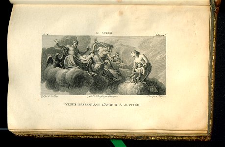 Galerie du Musee Napoleon. T. 7 (31006390)